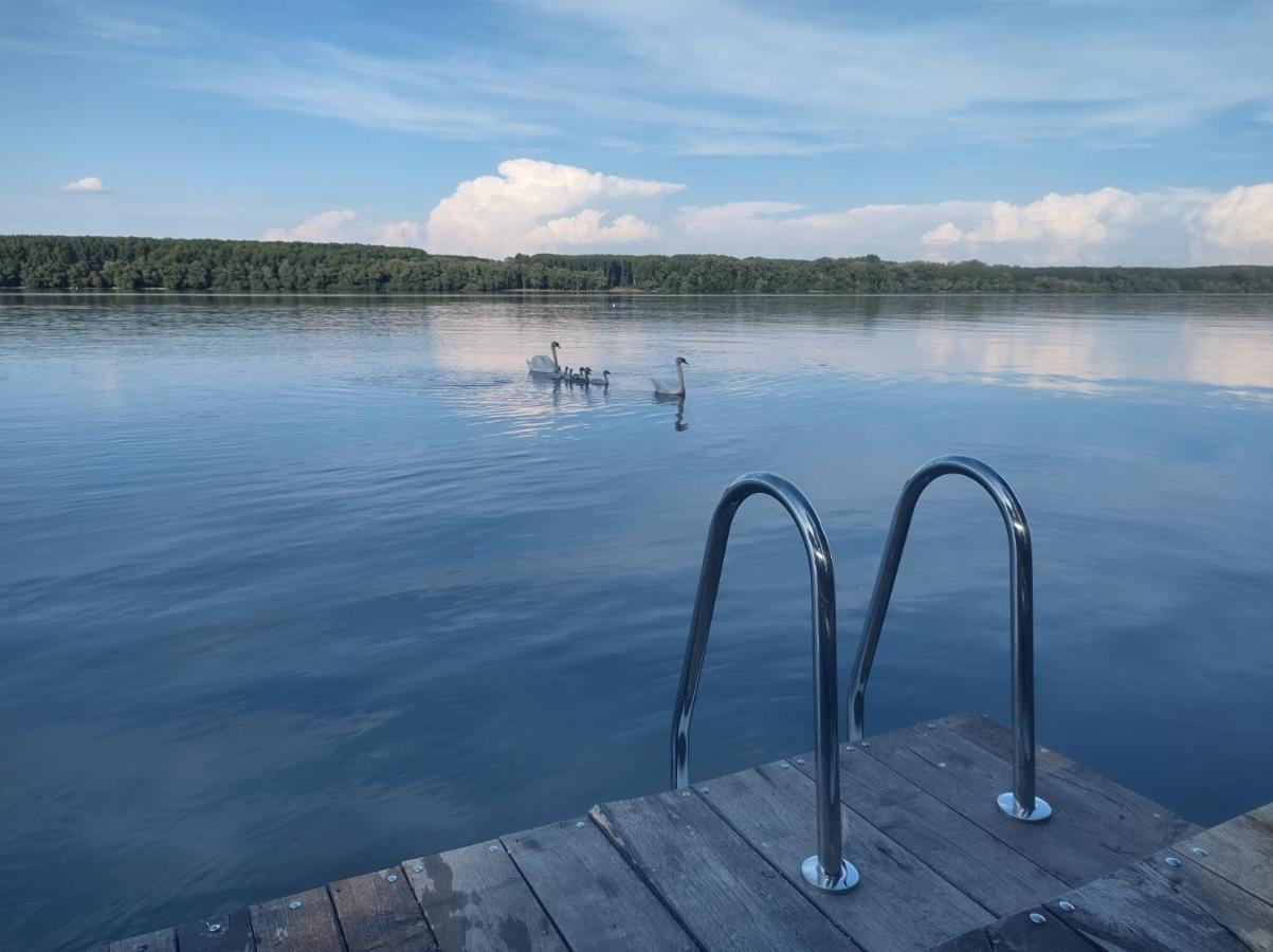 ベオグラード Bora Kuce Na Reciヴィラ エクステリア 写真